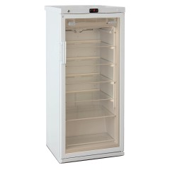 Шкаф холодильный фармацевтический Бирюса 250S-G