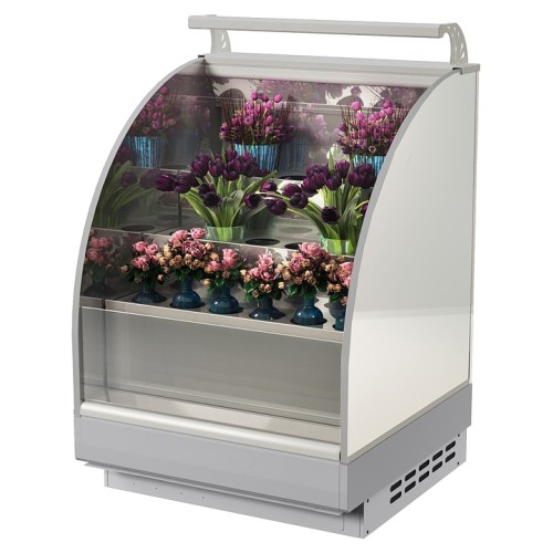 Горка холодильная Lida Stella Flora maxi (1000х1200х2000 мм)