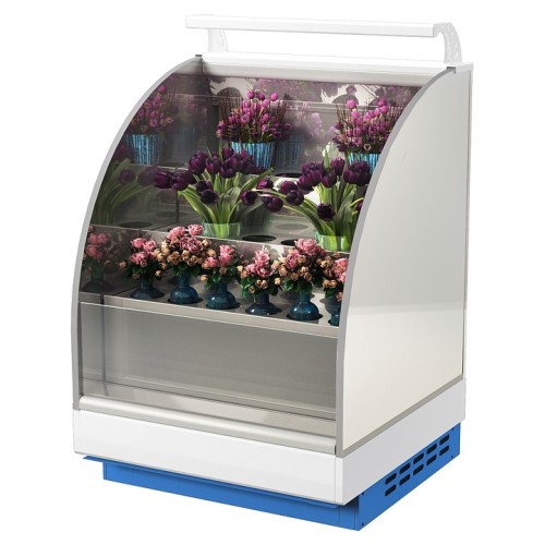 Горка холодильная Lida Stella Flora maxi (1200х1200х2000 мм)