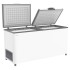 Ларь морозильный Frostor F 600 SD (R290)