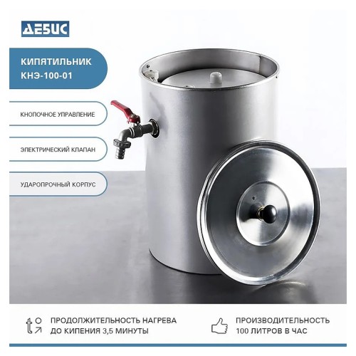 Кипятильник Дебис КНЭ-100-01 нерж. сталь