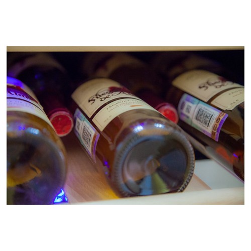 Винный шкаф Cold Vine C66-KSF2