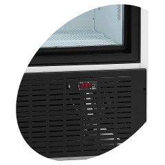 ШКАФ ХОЛОД. СО СТЕКЛОМ TEFCOLD FS1002S