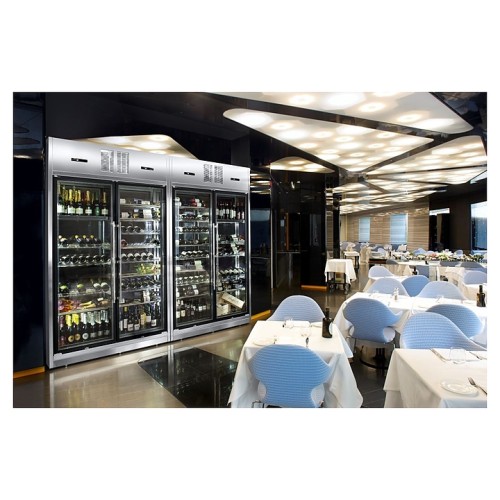 Винный шкаф Gemm WL6/222P