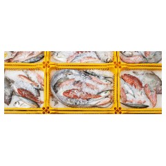 Льдогенератор Brema Split 600 CO2