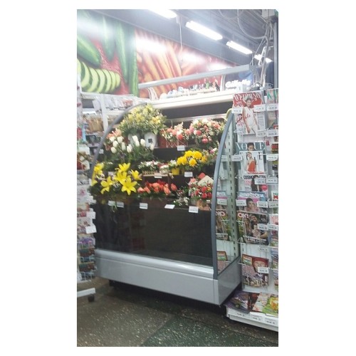 Горка холодильная Lida Stella Flora mini (1500х970х1800 мм)