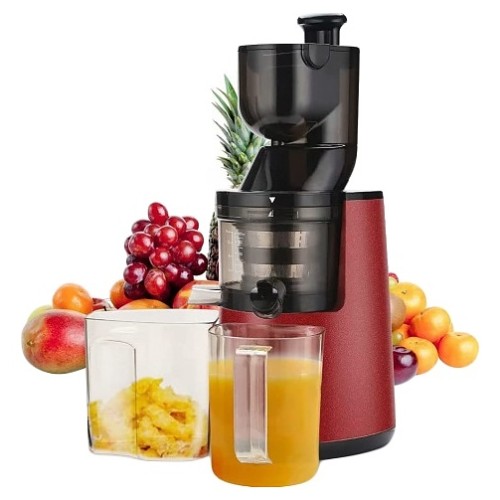 Соковыжималка шнековая ROAL ALW-J16