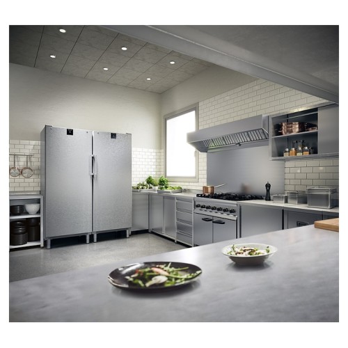 ШКАФ ХОЛОД.С ГЛУХ.ДВЕРЬЮ LIEBHERR FRFCVG 6501