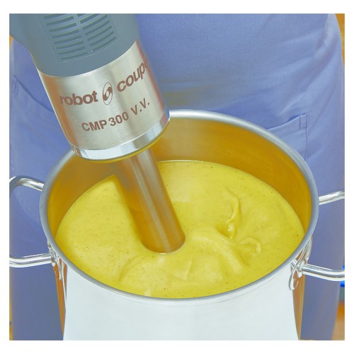 Миксер ручной Robot Coupe CMP 300 V.V.