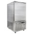 Шкаф шоковой заморозки ROAL GDBY40-10P
